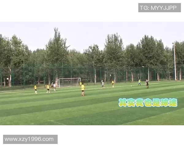 深入浅出足球知识普及助你成为球场小达人